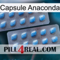 Anaconda Capsule viagra4